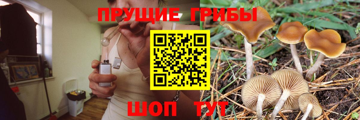 Псилоцибиновые грибы Magic Shrooms  Галлюциногенные грибы Cubensis  Фурманов  Вход с VPN 